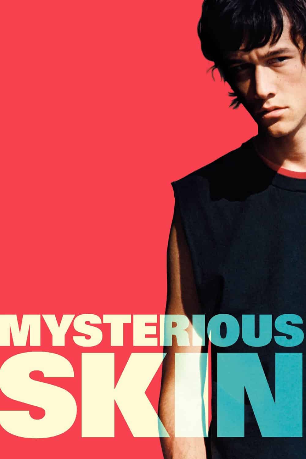 Mysterious Skin, 2004 