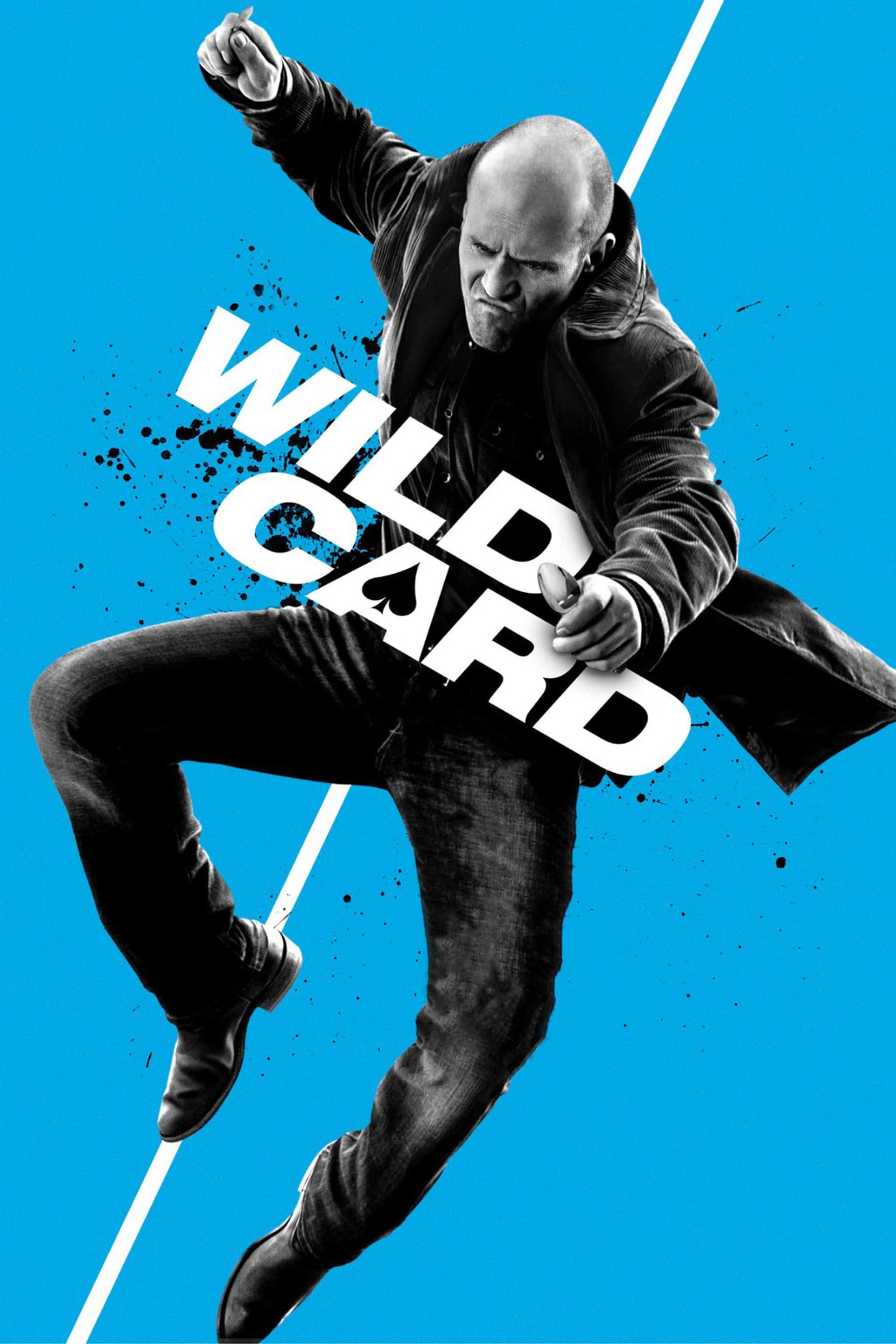 Wild Card, 2015 